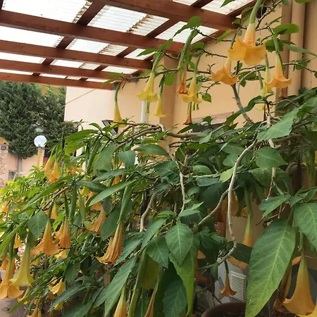 Casa Con Giardino Centro Appartamento *
