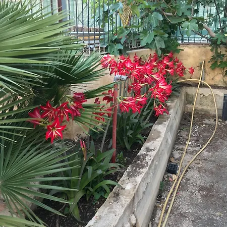 Casa Con Giardino Centro *