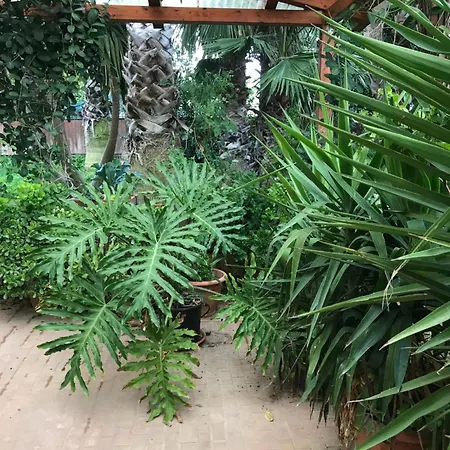 Appartamento Casa Con Giardino Centro *