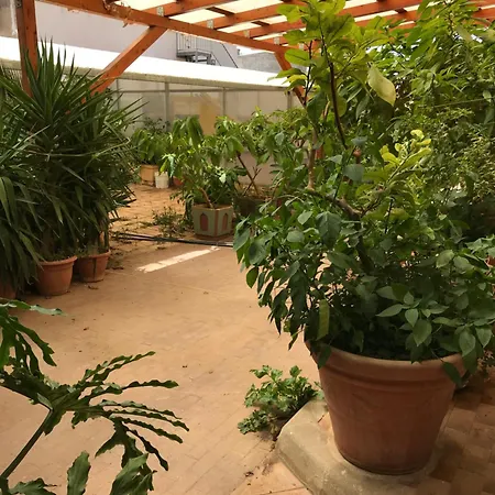 Casa Con Giardino Centro Appartamento *