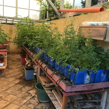 Appartamento Casa Con Giardino Centro Sciacca