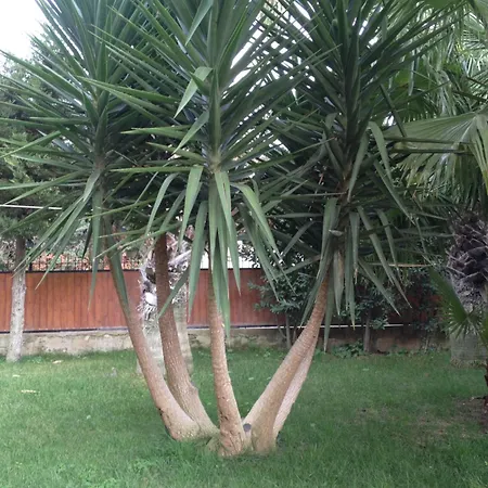 Appartamento Casa Con Giardino Centro