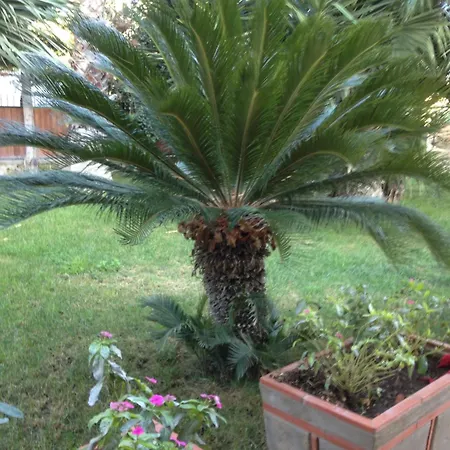 Appartamento Casa Con Giardino Centro *