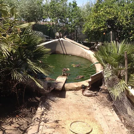 Casa Con Giardino Centro