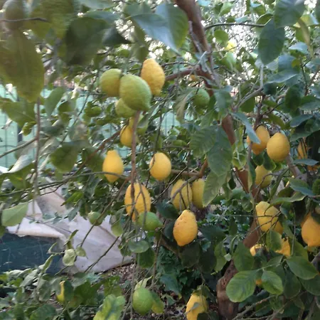 Appartamento Casa Con Giardino Centro Sciacca