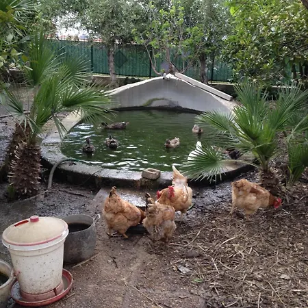 Appartamento Casa Con Giardino Centro Sciacca