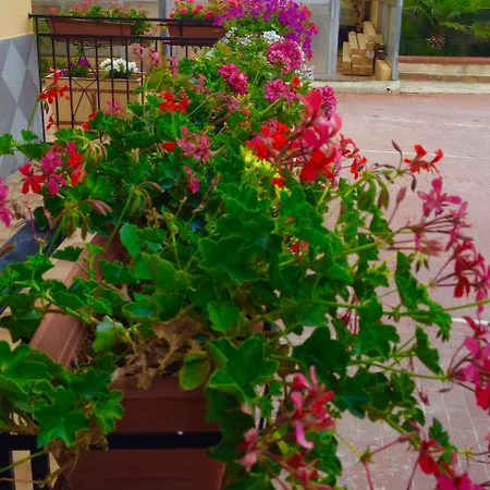 Appartamento Casa Con Giardino Centro