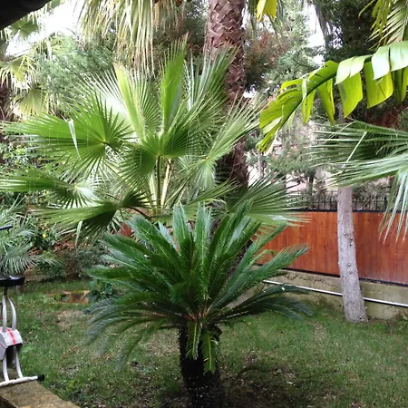 Casa Con Giardino Centro Appartamento *
