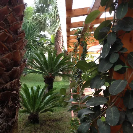 Appartamento Casa Con Giardino Centro