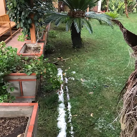 Casa Con Giardino Centro Appartamento Sciacca