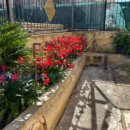 Casa Con Giardino Centro Appartamento *